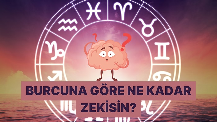 Burcuna Göre Hangi Alanda Zekisin?