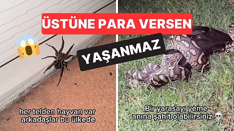 7 Ay Önce Avustralya'ya Taşınan Gencin Deneyimlerini Paylaştığı Video ''Burada Yaşanmaz'' Dedirtti