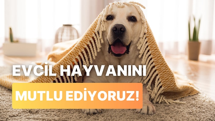 Evcil Hayvanını Mutlu Edecek Şeyi Söylüyoruz!