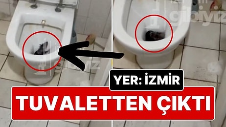 Bu Kez Türkiye’de Oldu: Tuvaletini Yaparken Klozetin İçinden Fare Çıktı!