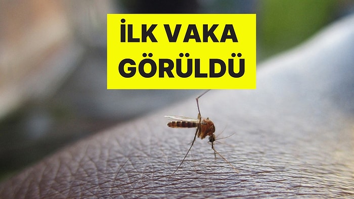 Açık Hava Etkinlikleri Yasaklandı! Ölümcül Virüse Karşı Kırmızı Alarm: İlk Vaka Görüldü, Tedavisi Yok