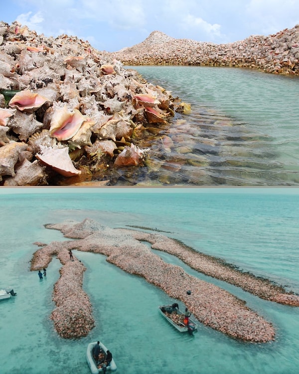 4. Karayipler, deniz kabuğu mezarlığı