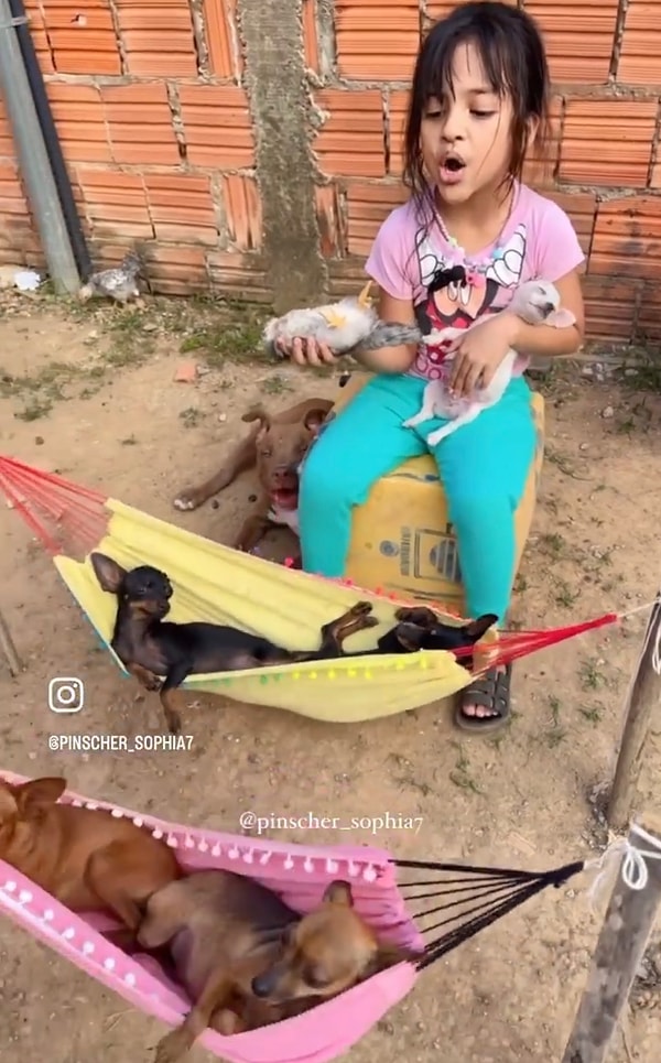 Ve hepsini tatlı tatlı şarkı söyleyerek uyutmuştu. Bu huzur dolu anlar hepimizi derinden etkiledi.