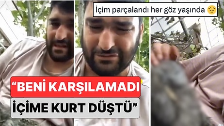 Kedisinin Öldürülüp Evinin Bahçesine Atıldığını Gören Vatandaş Olayı Gözyaşları İçerisinde Anlattı