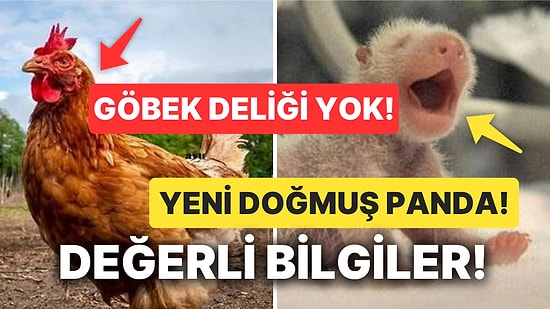 Kültürlenmek İsteyenler Buraya! Öğrendikten Sonra Bilgi Şöleninde Yüzeceğiniz Altın Değerinde Bilgiler