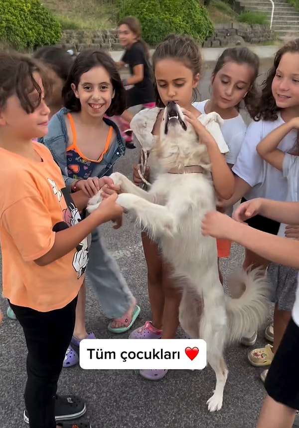 Tatlı bebeği sahiplendikten sonra tedavilerini ve aşılarını yaptıran ailesi ona çok güzel bir hayat sunmuştu.