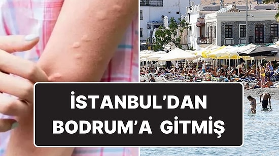 Muğla İl Sağlık Müdürlüğü Açıkladı: İstanbul’daki Batı Nil Virüsü Hastası Bodrum’a Tatile Gelmiş