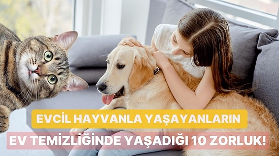 Sizi Çok İyi Anlıyoruz: Evcil Hayvanla Yaşayanların Ev Temizliğinde Yaşadığı 10 Zorluk