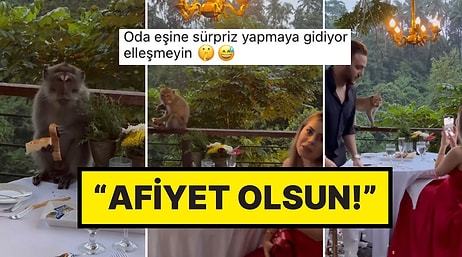 Romantik Yıl Dönümü Yemeğine Davetsiz Misafir! Bütün Yemeklere Dadanan Tatlı Maymun