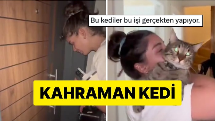 Çilingir Parasından Kurtarmak İstedi: Kahraman Kedi Kapıyı Böyle Açtı!