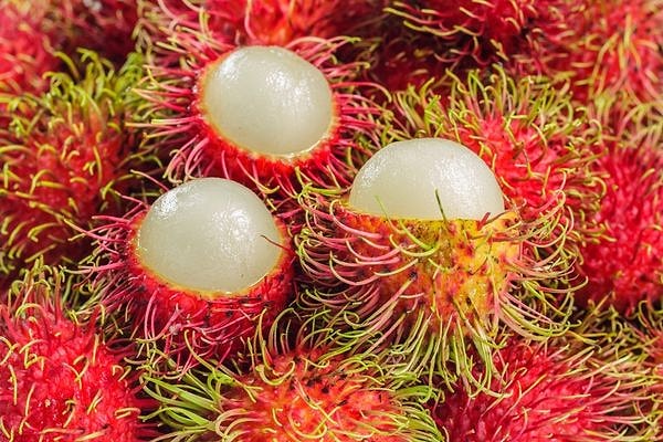 7. Rambutan