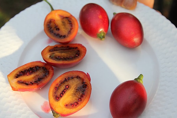 9. Tamarillo