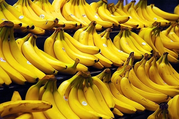 In Central America, millions of Gros Michel bananas were destroyed by Foc race 1 (R1).