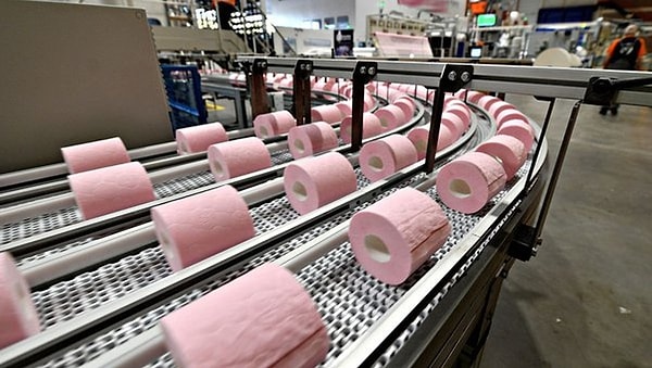 The French chose to dye the toilet paper pink so that it would both match the decor and be visually appealing.