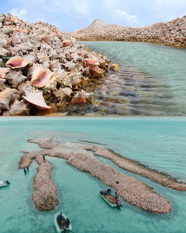 Caribbean: Seashell Graveyard