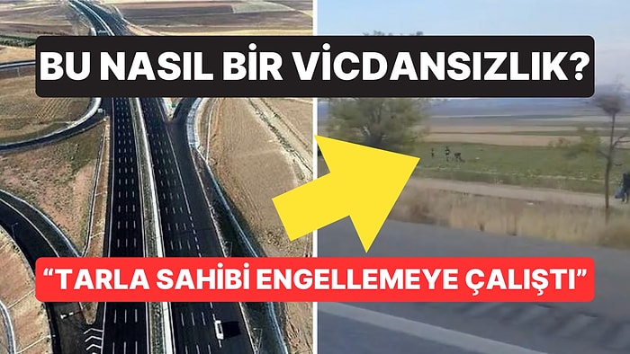 İnsanlığa Sığar mı? Konya-Aksaray Otobanında Bir Grup İnsanın Tarladan Kilolarca Kavun Çaldığı İddia Edildi