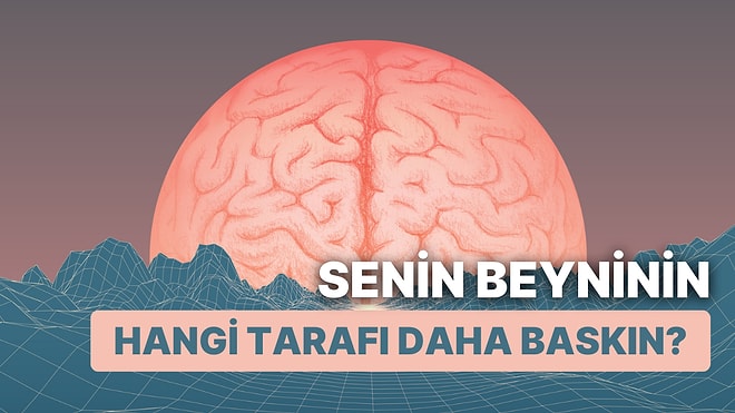 Senin Beyninin Hangi Tarafı Daha Baskın?