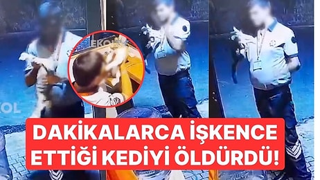 Dakikalarca İşkence Ettiği Kediyi Öldürdü! 3 Suç Kaydı Bulunan Güvenlik Görevlisi Tutuklandı