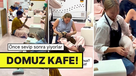 Daha Neler Göreceğiz? Japonya’da Domuzları Sevmek İçin Gidilen Kafe