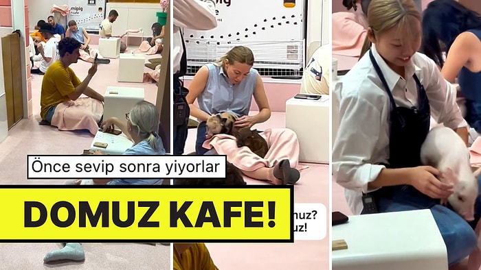 Daha Neler Göreceğiz? Japonya’da Domuzları Sevmek İçin Gidilen Kafe