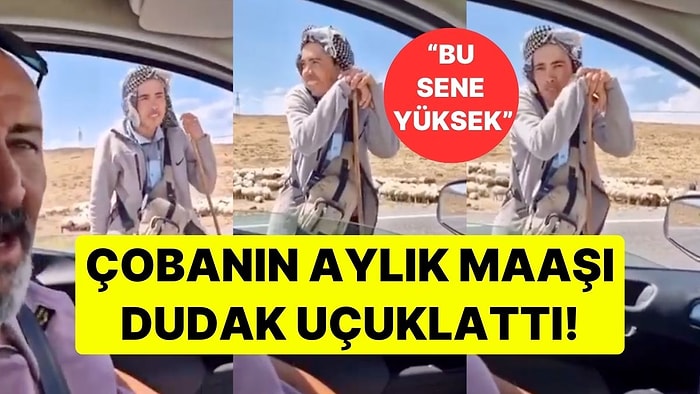 Çobanın Aylık Maaşını Duyanlar Kulaklarına İnanamadı: "Ben Ankara'yı Bırakıp Sana Rakip Olacağım"