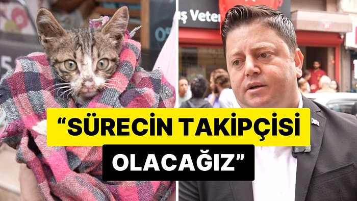 İstanbul Kadıköy Belediye Başkanı Mesut Kösedağı Zehirlenen Sokak Hayvanları İle İlgili Açıklama Yaptı