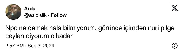 Fakat bir kullanıcı NPC kısaltmasına getirdiği yeni açılımla hepimize bildiğimiz şeyin doğrusunu unutturdu!