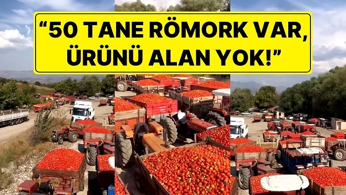 Domatesini Satamayan Çiftçi İsyan Etti! "50 Tane Römork Var, Alan Yok"