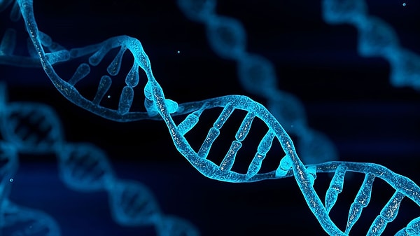 1. DNA'nın RNA'dan farklı olan özelliği nedir?