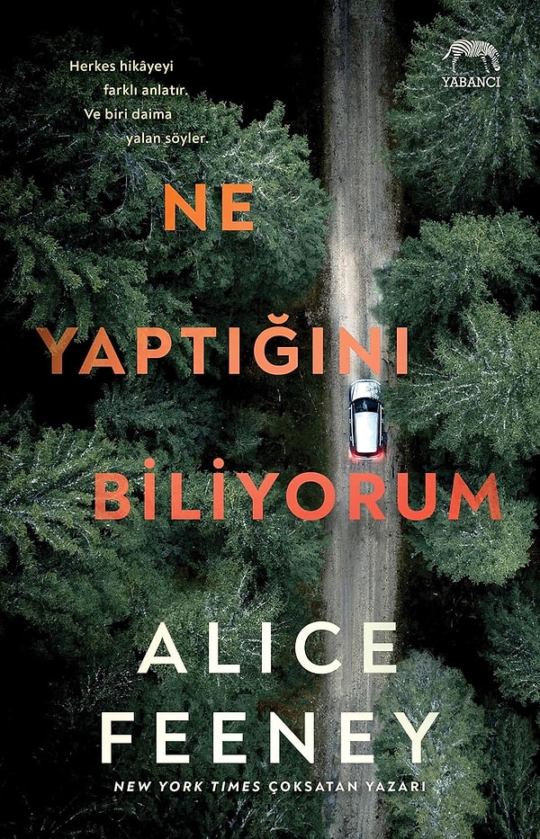 12. Ne Yaptığını Biliyorum - Alice Feeney