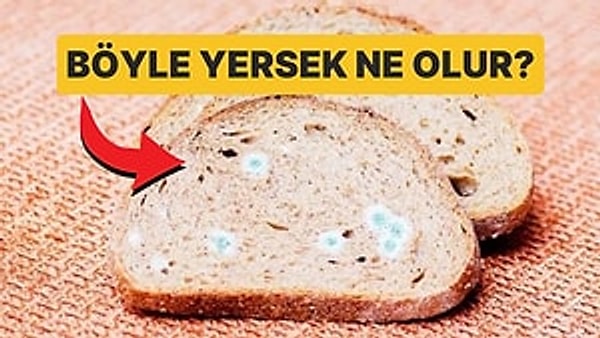 11. Ekmek, Peynir, Meyve: Küflenmiş Yiyeceklerin Sağlığa Zararlarını Öğrendiğinizde Hemen Çöpe Atacaksınız