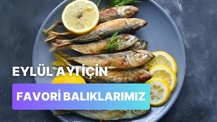 Her Balığın Bir Zamanı Var: Ne Yiyeceğini Bilmeyenler İçin Eylül Ayında Hangi Balıklar Yenmeli Söylüyoruz!