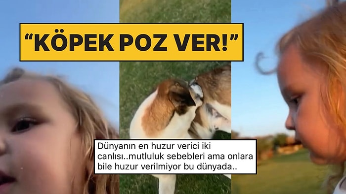 Sokak Köpeğinin Fotoğrafını Çekmeye Çalışan Tatlı Bebeğin Çabası Kalpleri Eritti