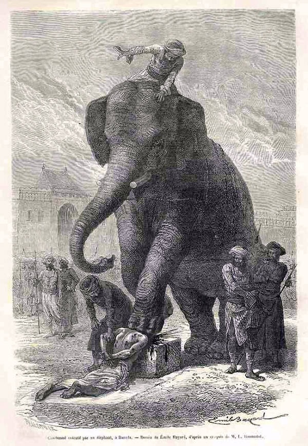 Punishments for humans found guilty in the Middle Ages were often carried out by elephants.