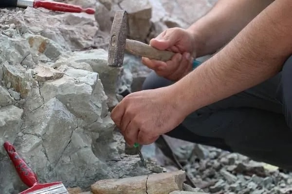 "Bu sene çok sayıda fil iskeletleri bulduk. Çorakyerler'de fillerin atalarına ait iki farklı tür var"