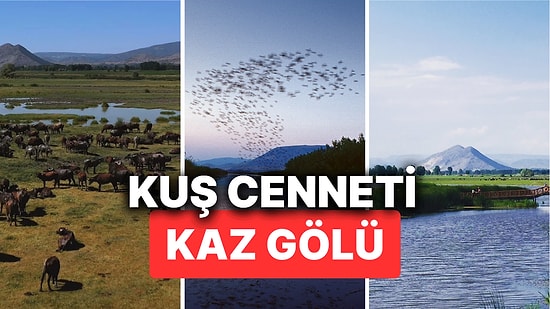 Tokat’ın Kuş Cenneti Kaz Gölü'nün Büyüleyici Güzelliğini Keşfedin! Peki Kaz Gölü'ne Nasıl Gidilir?