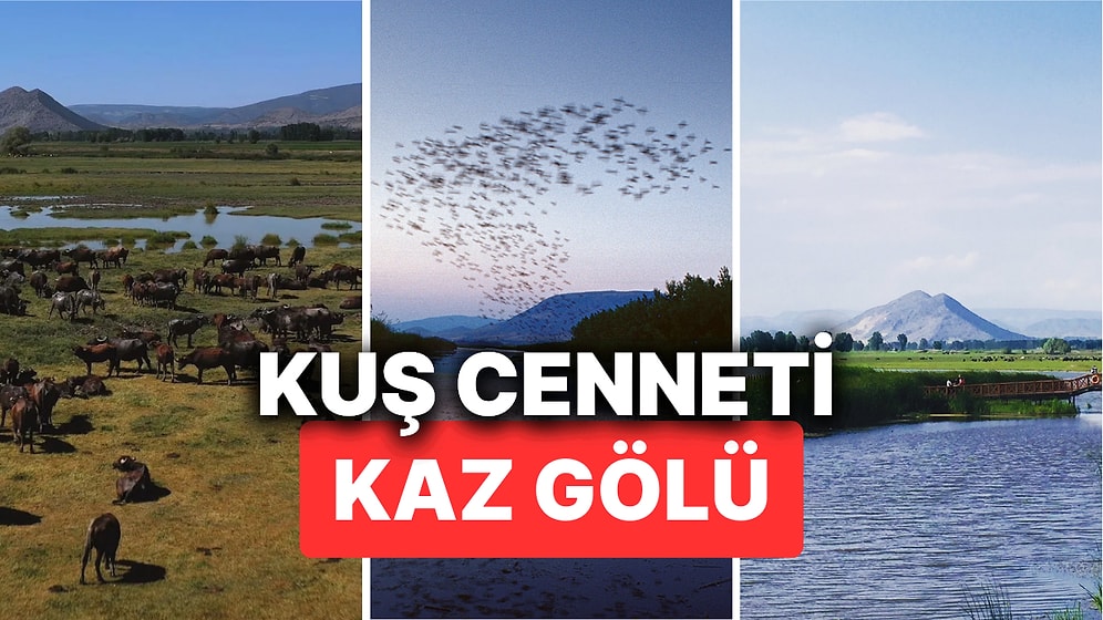 Tokat’ın Kuş Cenneti Kaz Gölü'nün Büyüleyici Güzelliğini Keşfedin! Peki Kaz Gölü'ne Nasıl Gidilir?