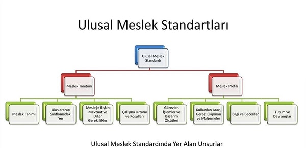 Ulusal Meslek Standartları tebliğinin değiştirilmesiyle birlikte “batarya elektrikli ve hibrit araç bakım ve onarımcısı” mesleği resmileşti.