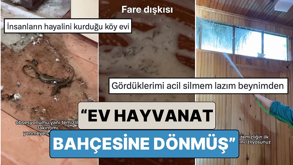 Uzun Süredir Kullanılmayan Aile Evini Temizleyen Kadının Videosunda Gördüklerinizi Uzun Süre Unutamayacaksınız