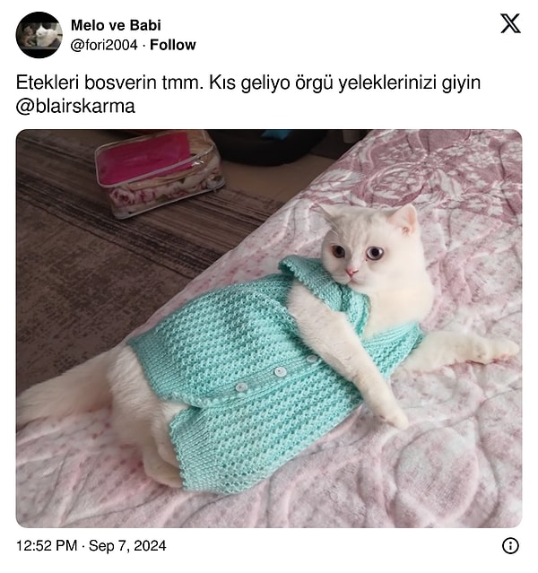 Akım böyle başladı.