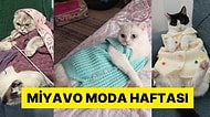 Örgü Yelekleriyle Sonbahar Kış Kreasyonlarını Tanıtan Kediler
