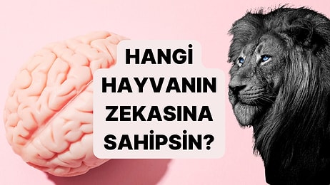 Sende Hangi Hayvanın Zekası Var?