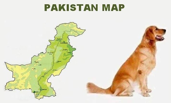 6. Kedi demişken... Pakistan haritasını bir köpeğe benzetenlerin sayısı da bir hayli fazla!