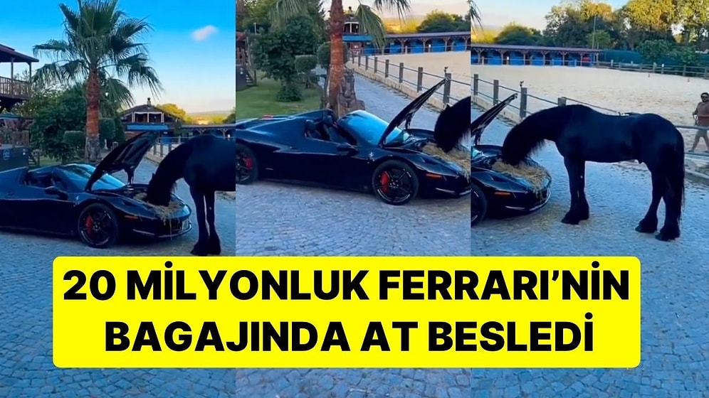 İzmir'de Bir Kişi, Milyonlarca Liralık Ferrari'nin Bagajına Koyduğu Yemle Atını Besledi