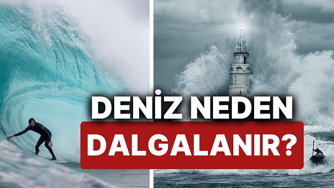 Deniz Neden Dalgalanır? Suların Hiç Durulmadığı Okyanusların Dev Dalgalarını Ne Hareket Ettiriyor?