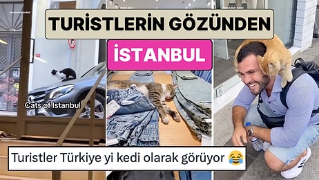 Biz Kedi Ülkesiyiz: Ülkemizi Ziyaret Eden Turistlerin Gözünden Türkiye Nasıl Görünüyor?