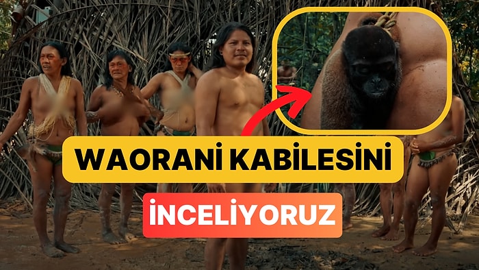 Alper Rende'nin Amazon'da 1 Hafta Kaldığı Waorani Kabilesini İnceliyoruz