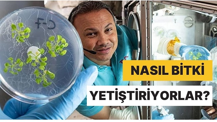 Astronotlar Yer Çekimi Olmadığı Halde Uzayda Nasıl Bitki Yetiştirebiliyor?