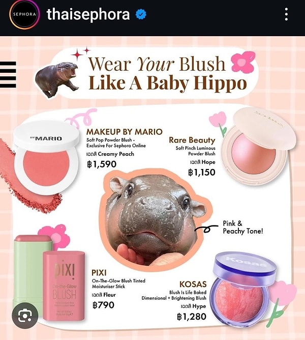 Moo Deng’in pembe teni o kadar beğenildi ki, Tayland’da ünlü makyaj markası Sephora bile onu allık reklamında kullanmaya başladı!