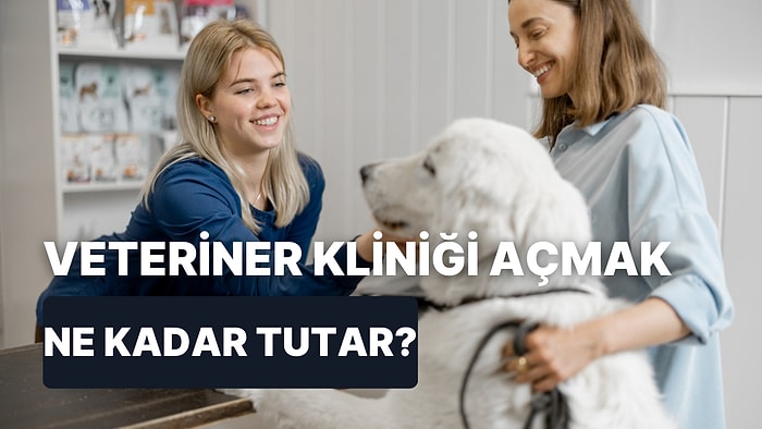 Her Şey Sevimli Dostlarımız İçin: Veteriner Kliniği Açmak Kaça Patlar?